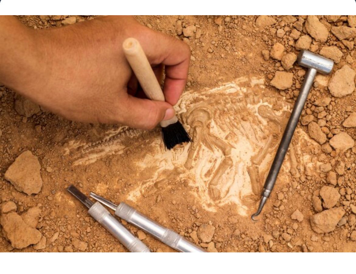 ÇOCUKLAR İÇİN ARKEOLOJİ (GÖBEKLİTEPE KAZISI)