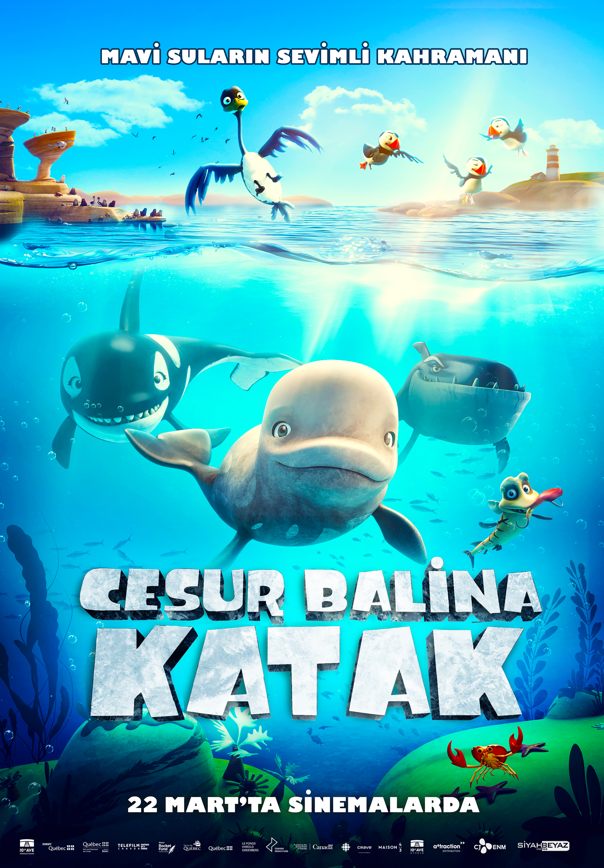 CESUR BALİNA: KATAK