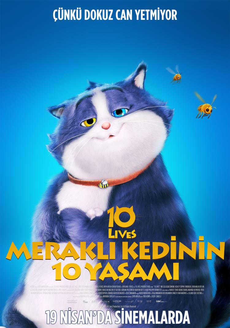 MERAKLI KEDİNİN 10 YAŞAMI