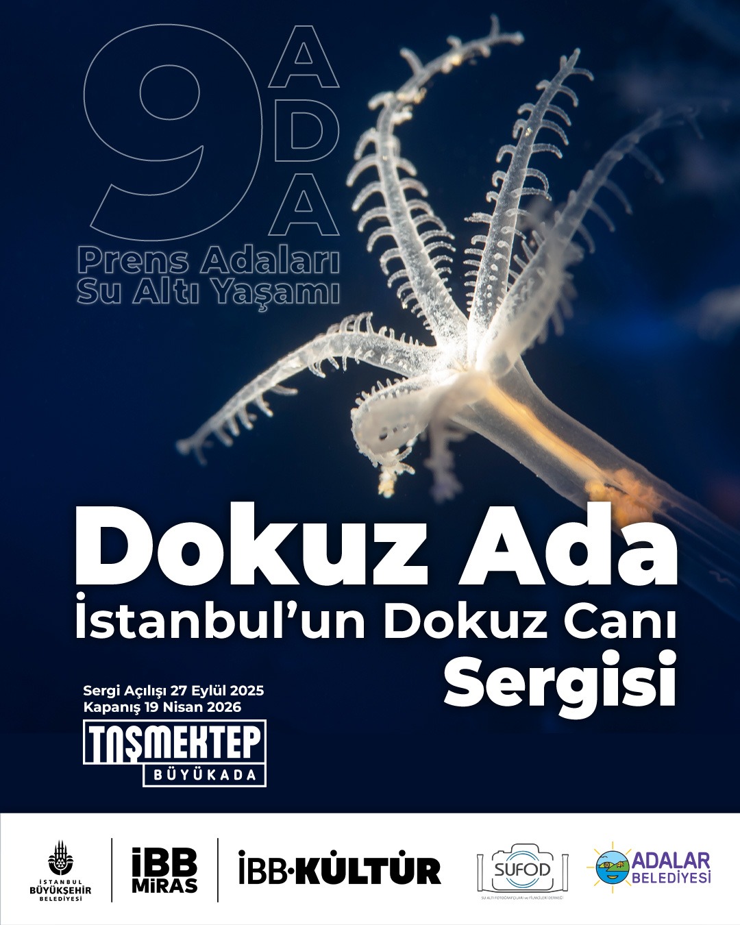 Dokuz Ada: İstanbul’un Dokuz Canı