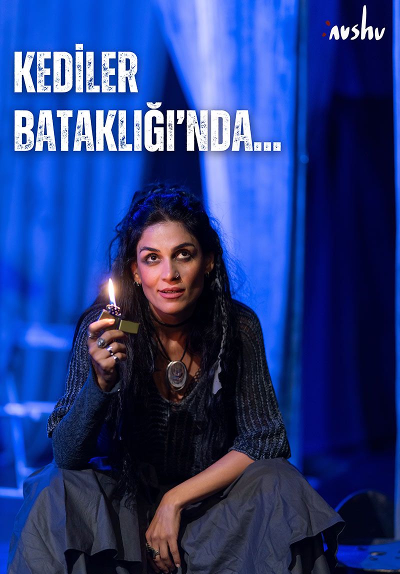 KEDİLER BATAKLIĞI'NDA